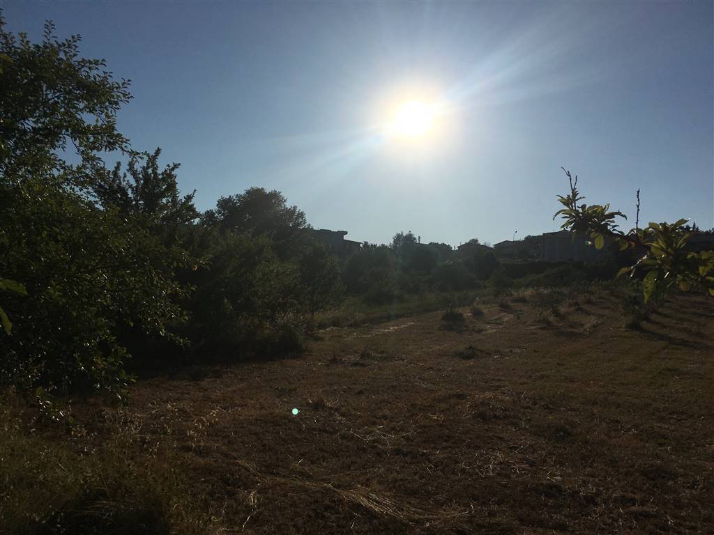 Terreno a Montemiletto in Contrada Cardogna - Foto 3