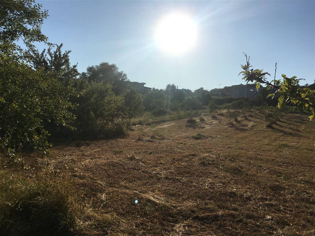 Terreno a Montemiletto in Contrada Cardogna - Foto 4