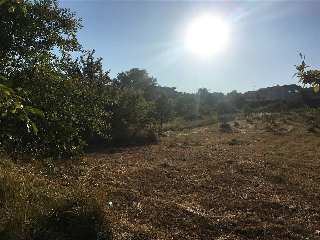 Terreno a Montemiletto in Contrada Cardogna - Foto 5