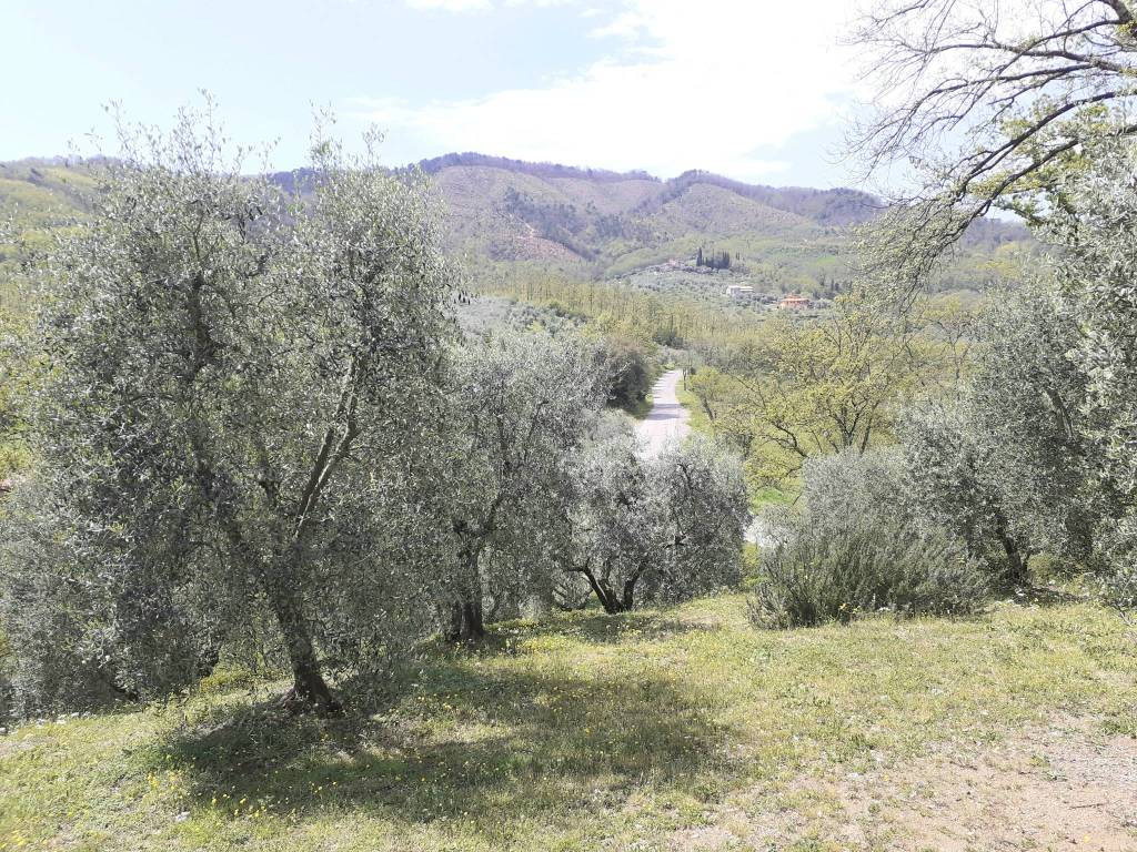 Villa a Serravalle pistoiese - Foto 2