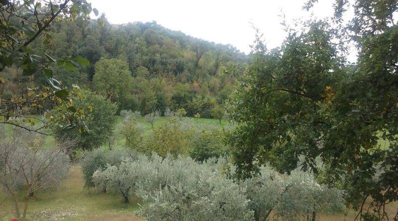 Rustico / casale a Terni - Foto 4