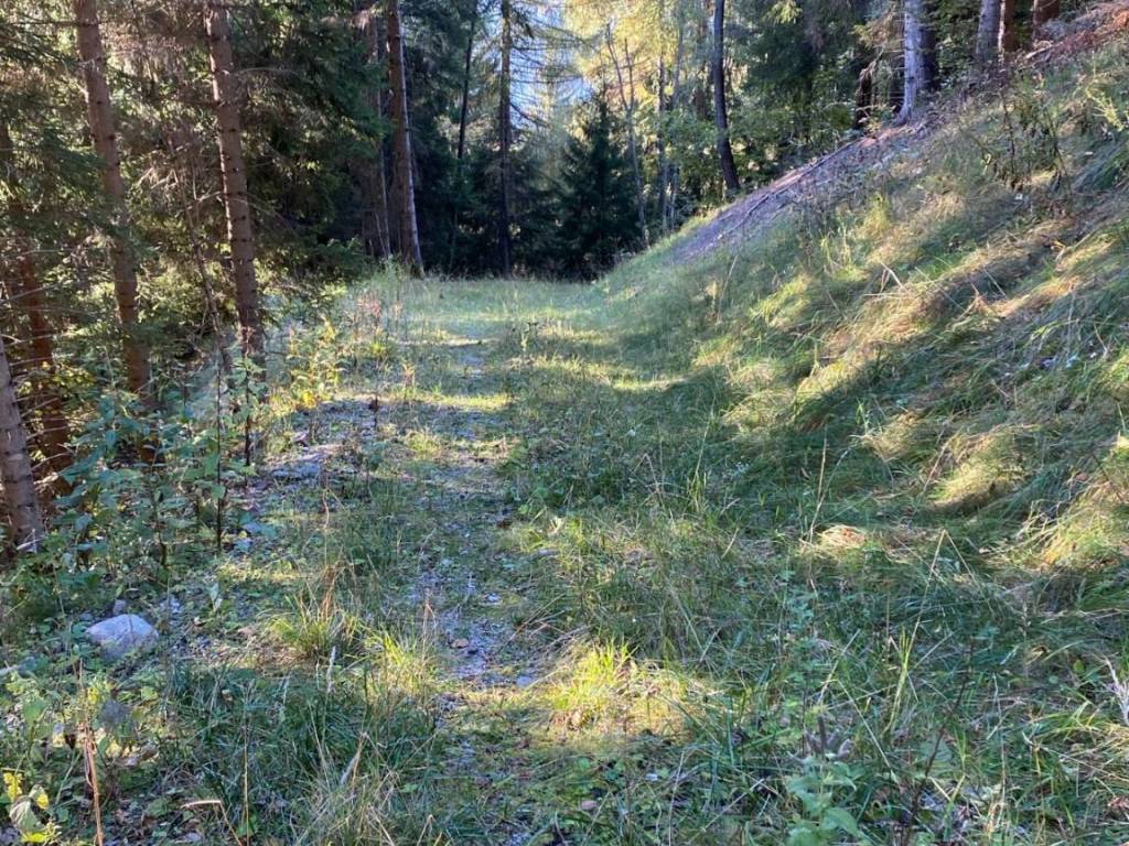 Rustico / casale a Bocenago - Foto 3