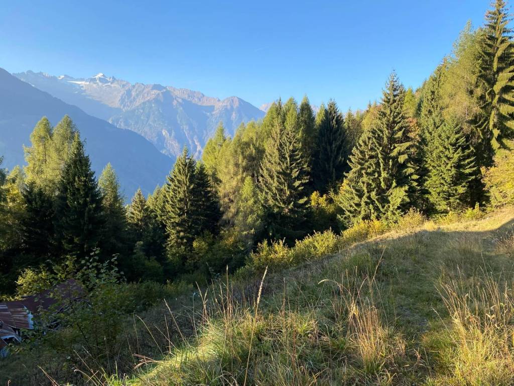 Rustico / casale a Bocenago - Foto 4