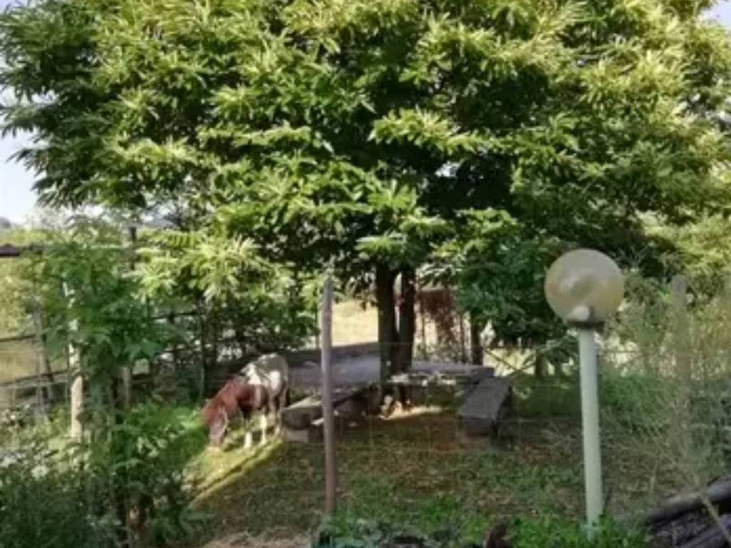 Villa a Sorianello in SS, 182 - Foto 4