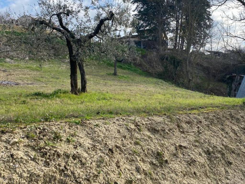 Rustico / casale a Alviano in v. veroli - Foto 2