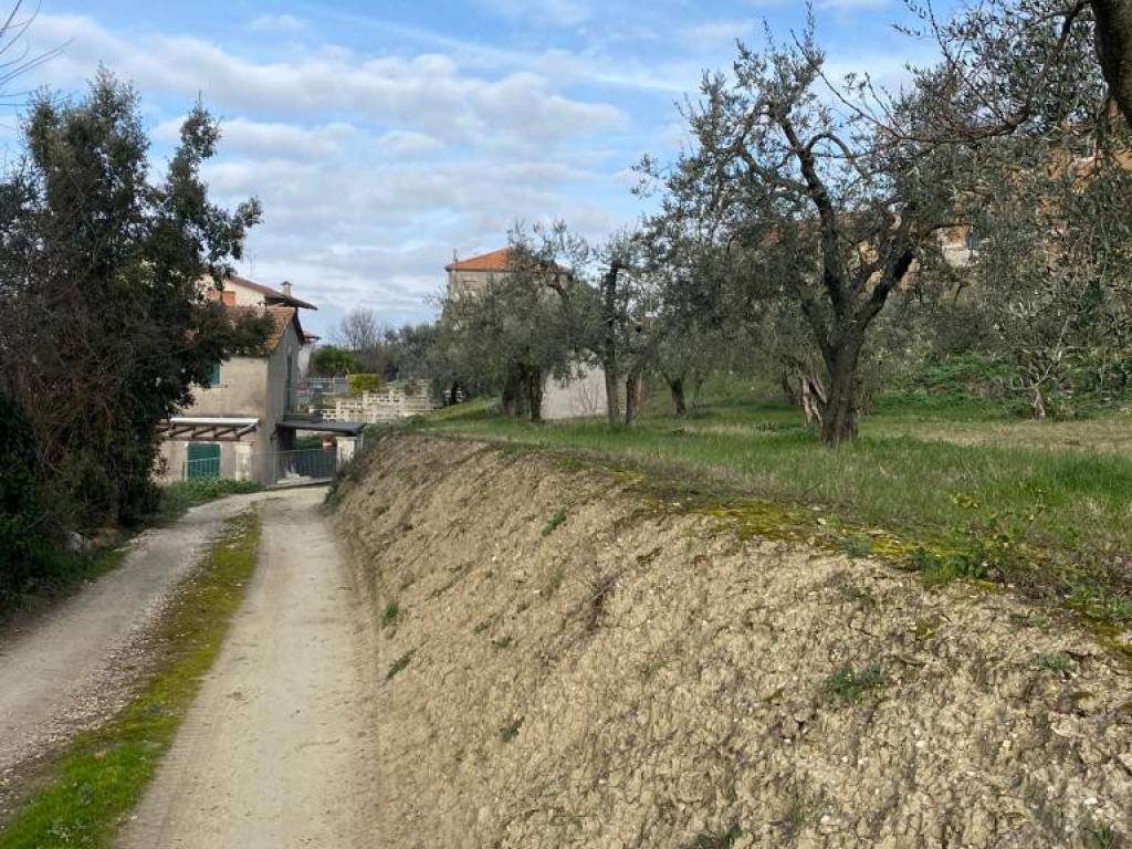 Rustico / casale a Alviano in v. veroli - Foto 3