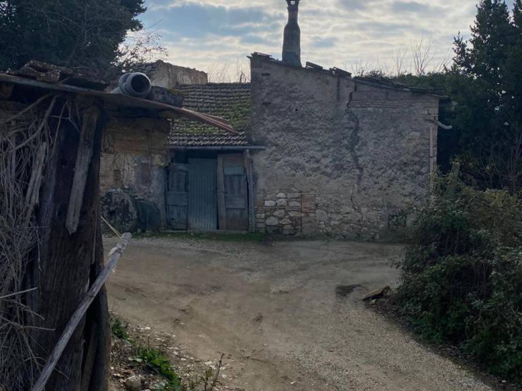 Rustico / casale a Alviano in v. veroli - Foto 5