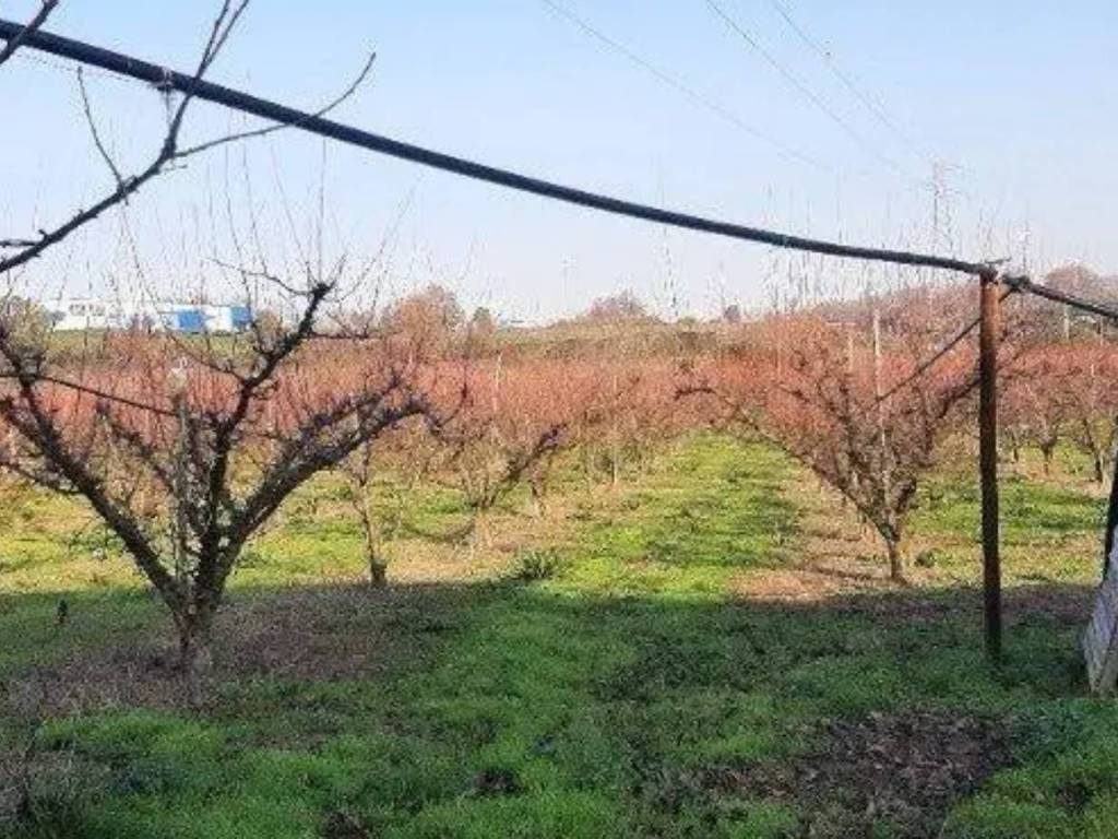 Rustico / casale a Teano in Masseria Scassicci (Teano) - Foto 2