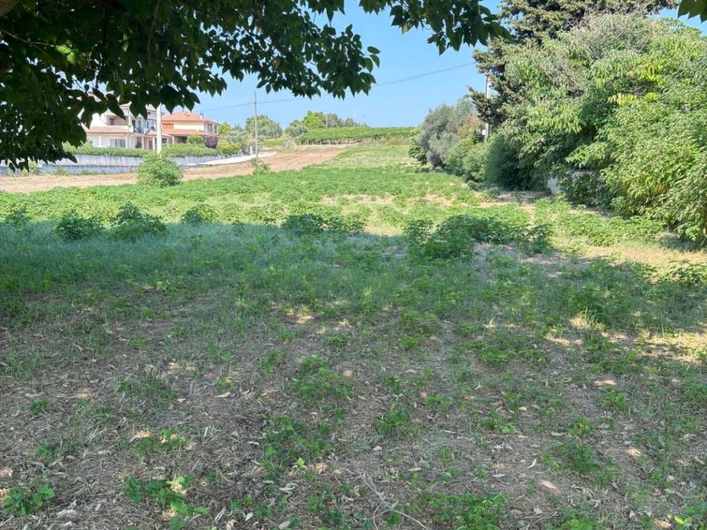Terreno a Miglianico in Contrada Cerreto, 520 - Foto 2