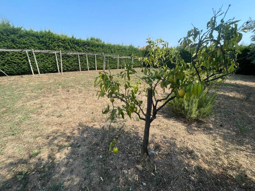 Terreno a Albenga in Regione Massaretti - Foto 5