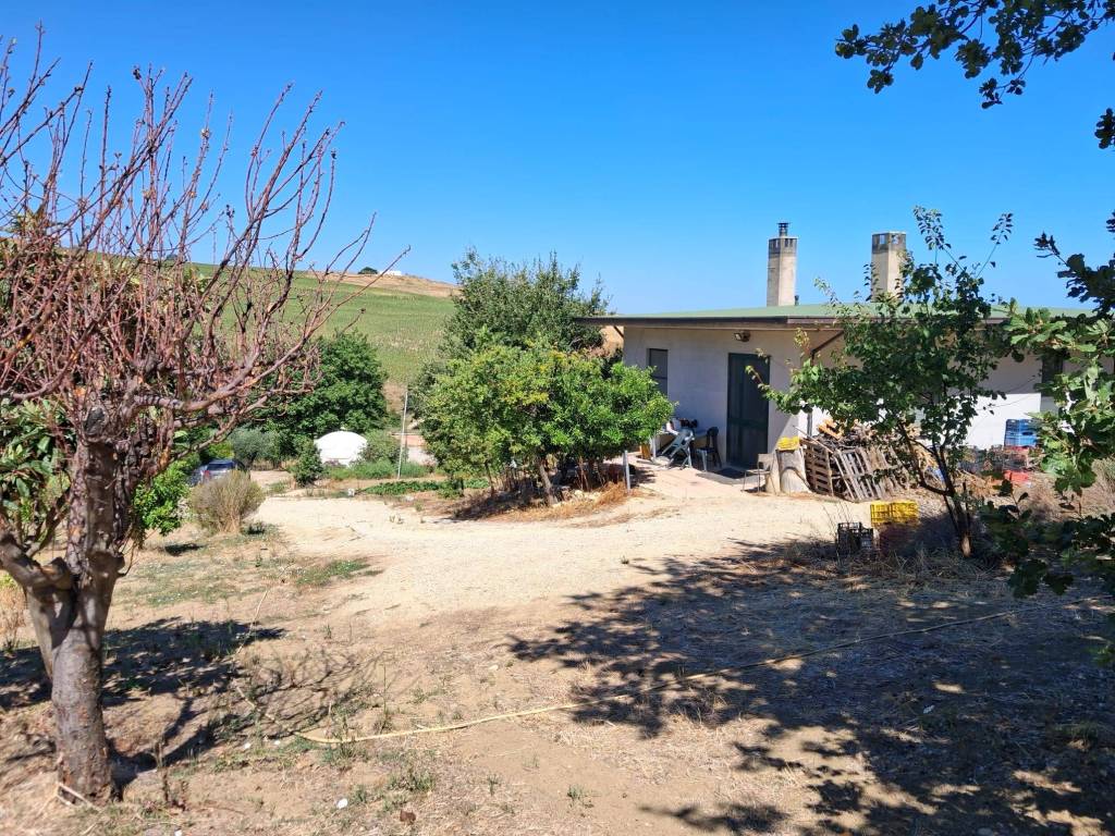 Rustico / casale a Petacciato - Foto 3