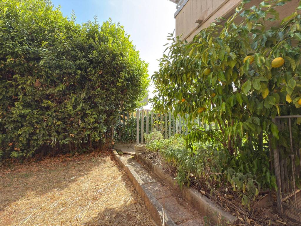 Villetta a schiera a Massa marittima - Foto 5
