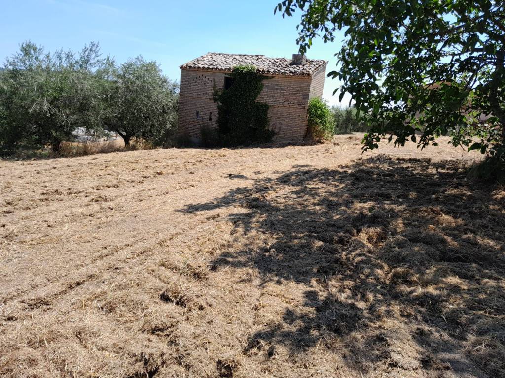 Rustico / casale a Offida in Strada Provinciale San Venanzio - Foto 3