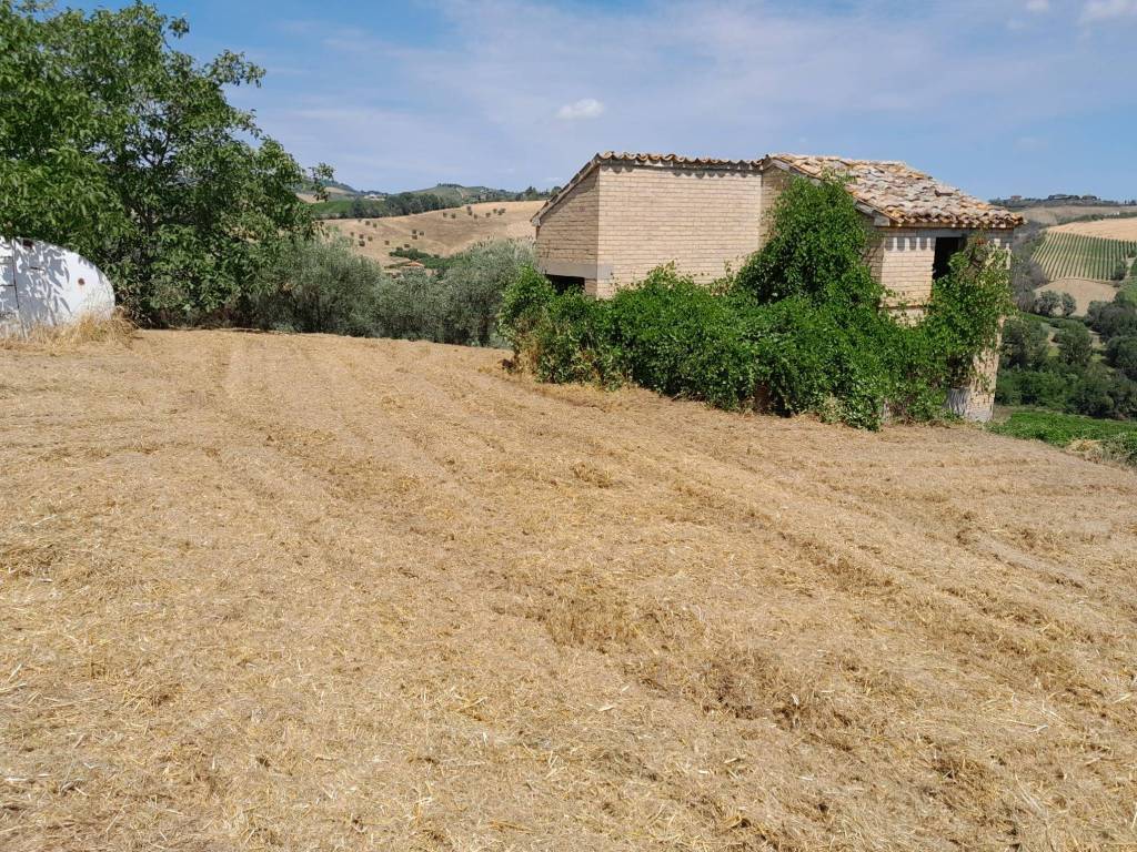 Rustico / casale a Offida in Strada Provinciale San Venanzio - Foto 4