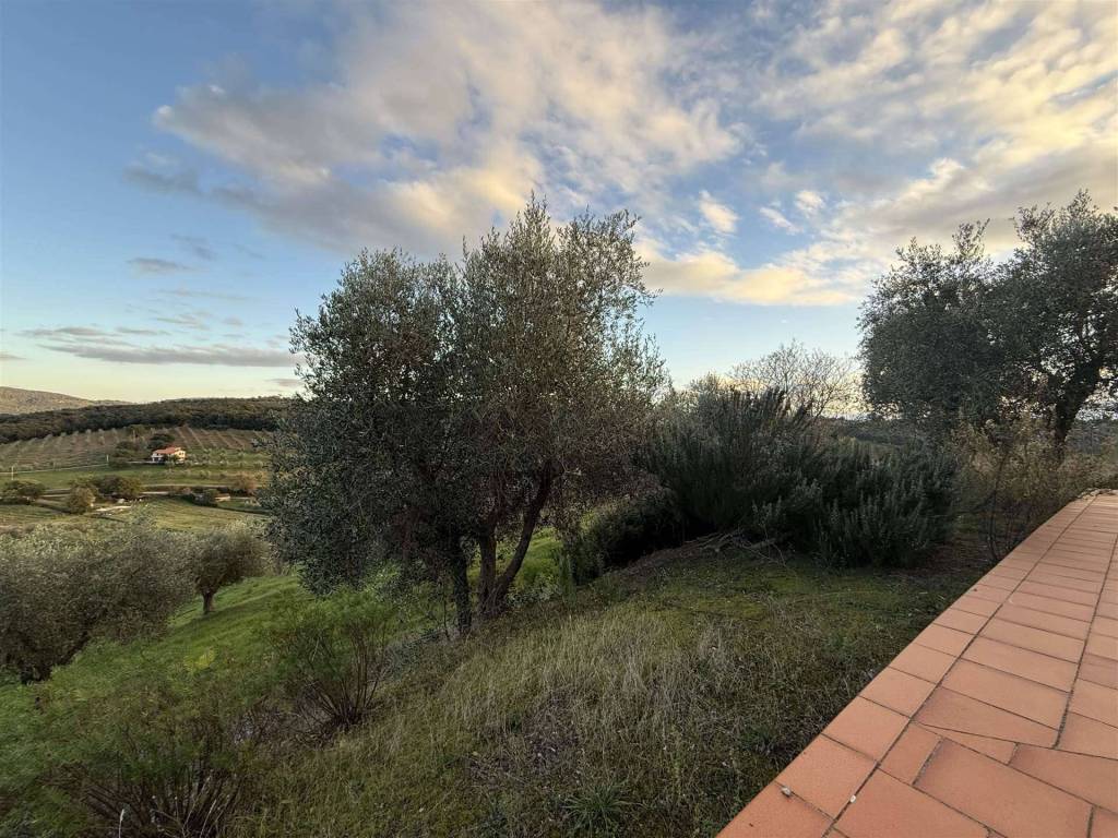 Immobile a Massa marittima in Podere Bersotta - Foto 3