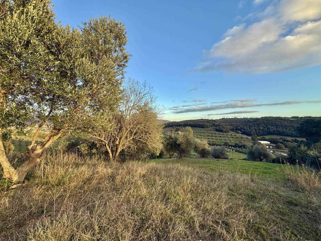 Immobile a Massa marittima in Podere Bersotta - Foto 4