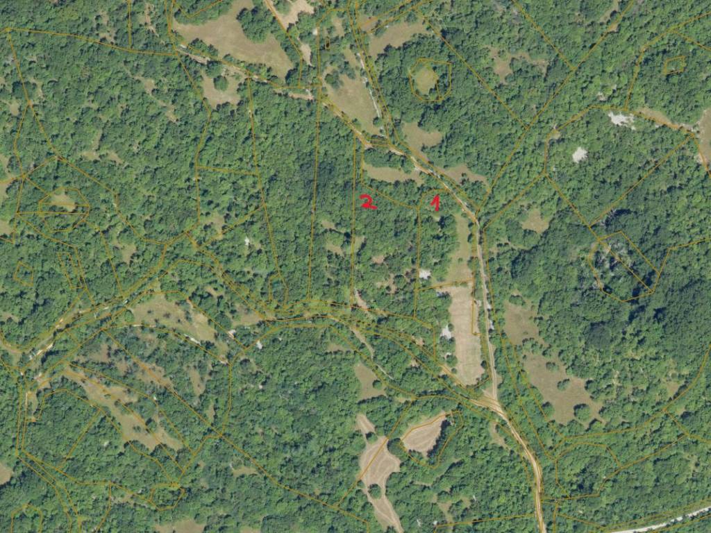 Terreno a Sgonico in Località Gabrovizza - Foto 2