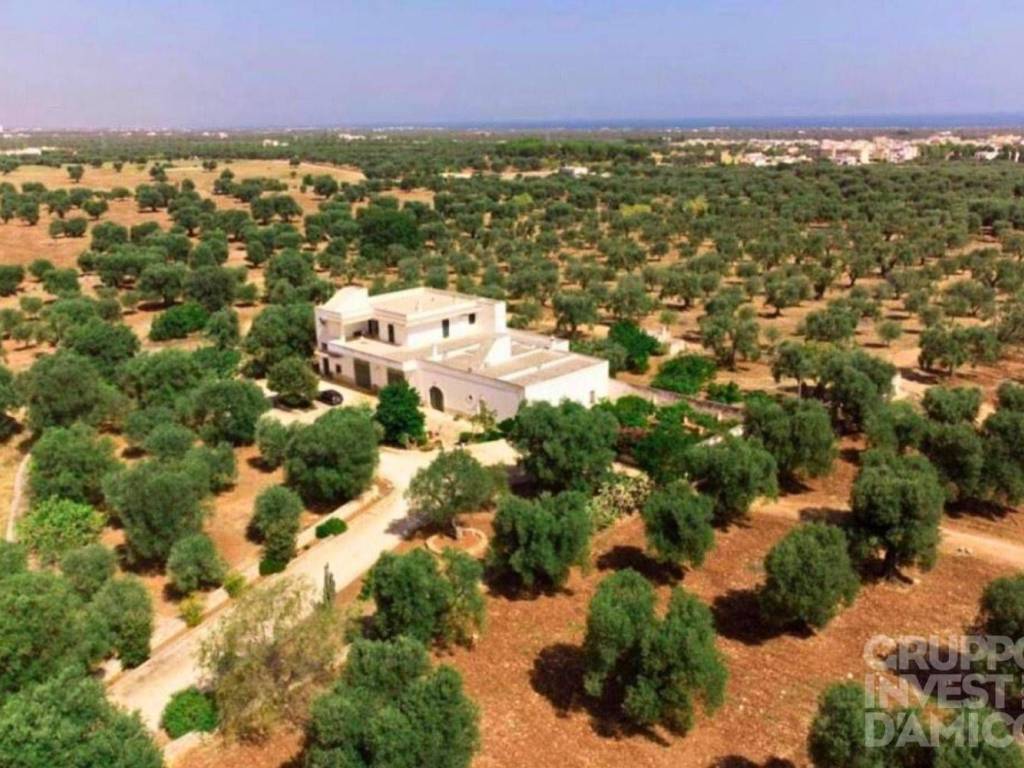 Rustico / casale a Fasano in Contrada Case Sparse Pezze - Foto 2