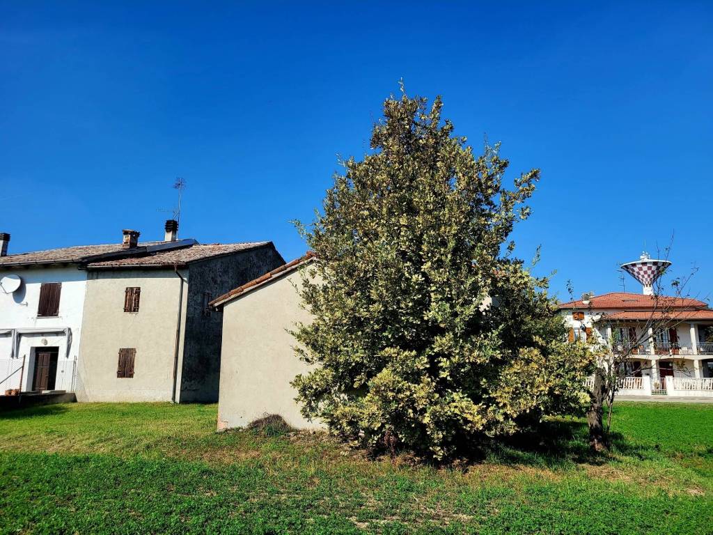 Casa indipendente a Sissa trecasali in Via Ponticella, 2 - Foto 4
