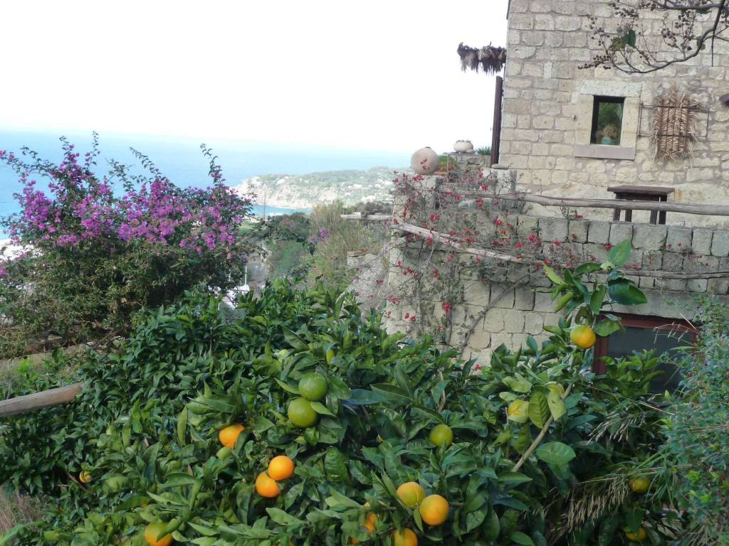 Villa a Forio in Via Pietra - Foto 2