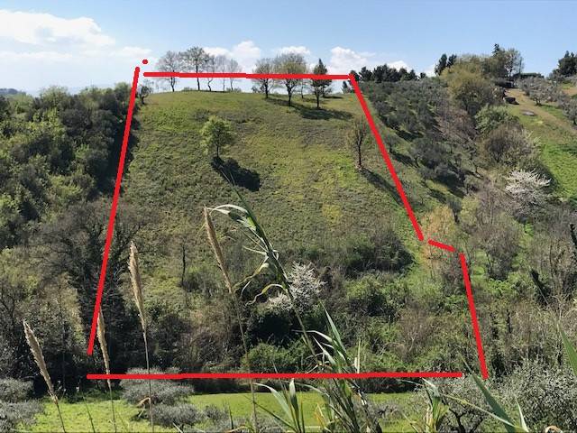 Terreno a Montesilvano in Strada Vicinale Palmerini - Foto 2