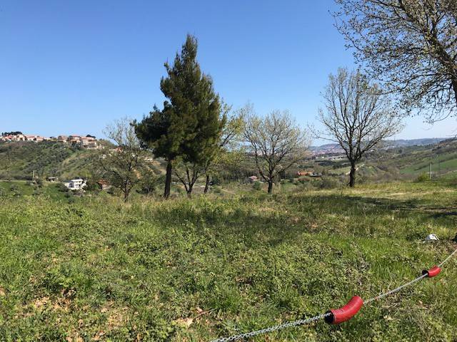 Terreno a Montesilvano in Strada Vicinale Palmerini - Foto 4