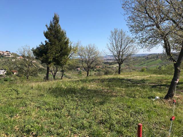 Terreno a Montesilvano in Strada Vicinale Palmerini - Foto 5