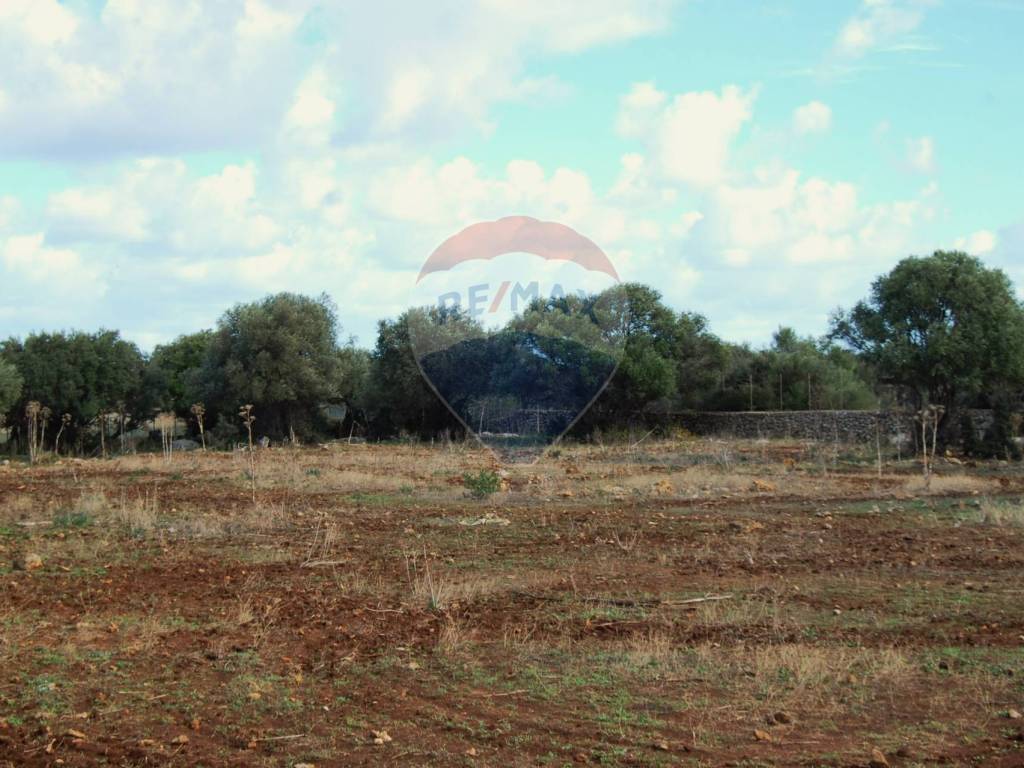 Terreno a Cinisi in Fondo Orsa - Foto 2