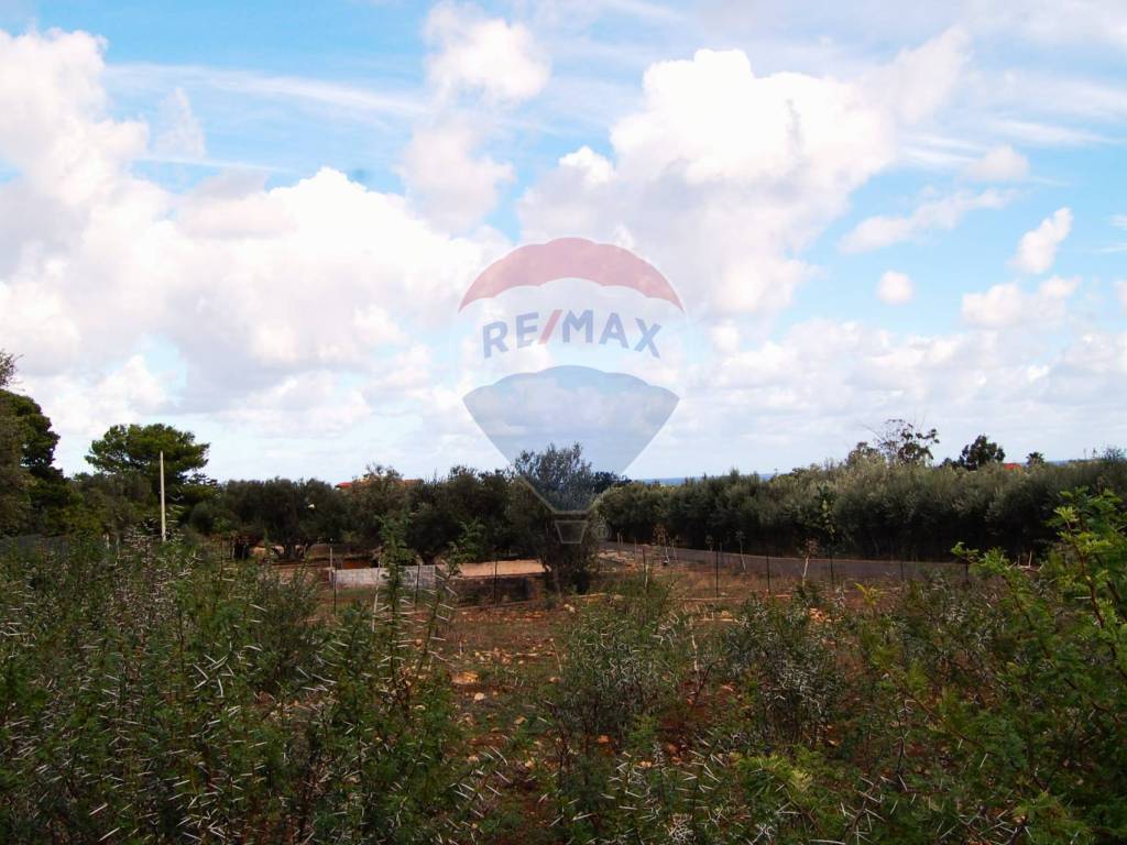 Terreno a Cinisi in Fondo Orsa - Foto 4