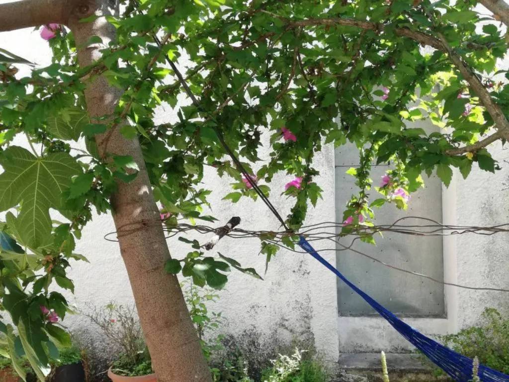 Casa indipendente a Albano di lucania in Via Camillo Benso di Cavour - Foto 2