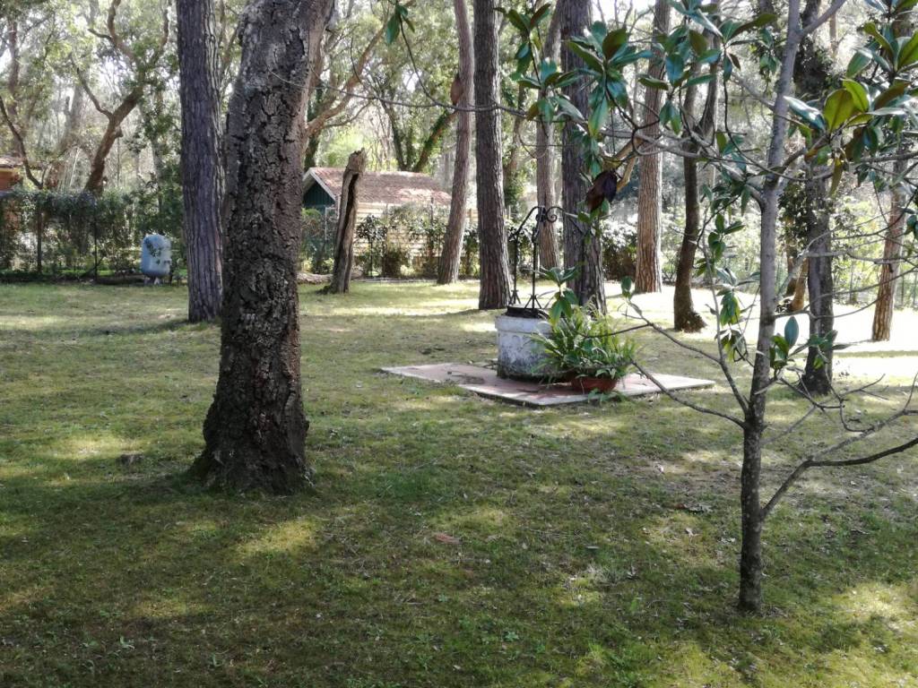 Villa a Sabaudia - Foto 2