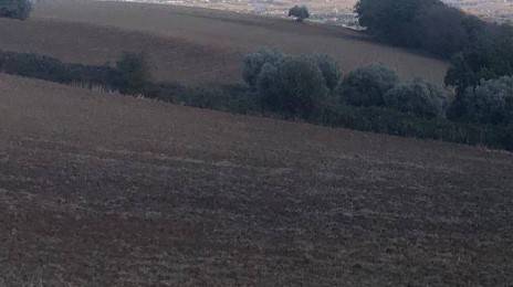Terreno a Treia - Foto 3
