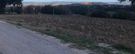 Terreno a Treia - Foto 4