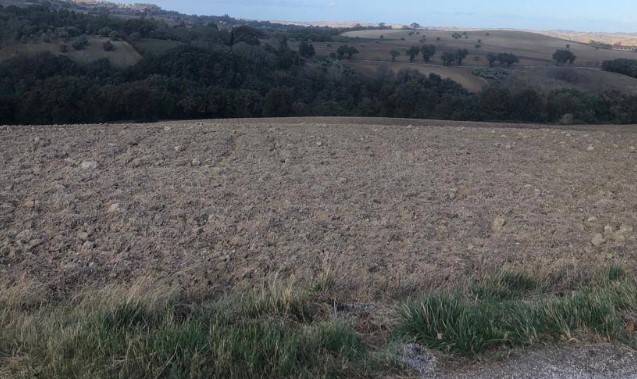 Terreno a Treia - Foto 5