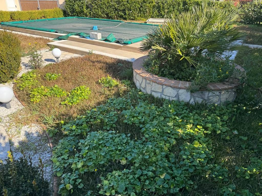 Villa a Torre orsaia in Via dei Pioppi - Foto 5