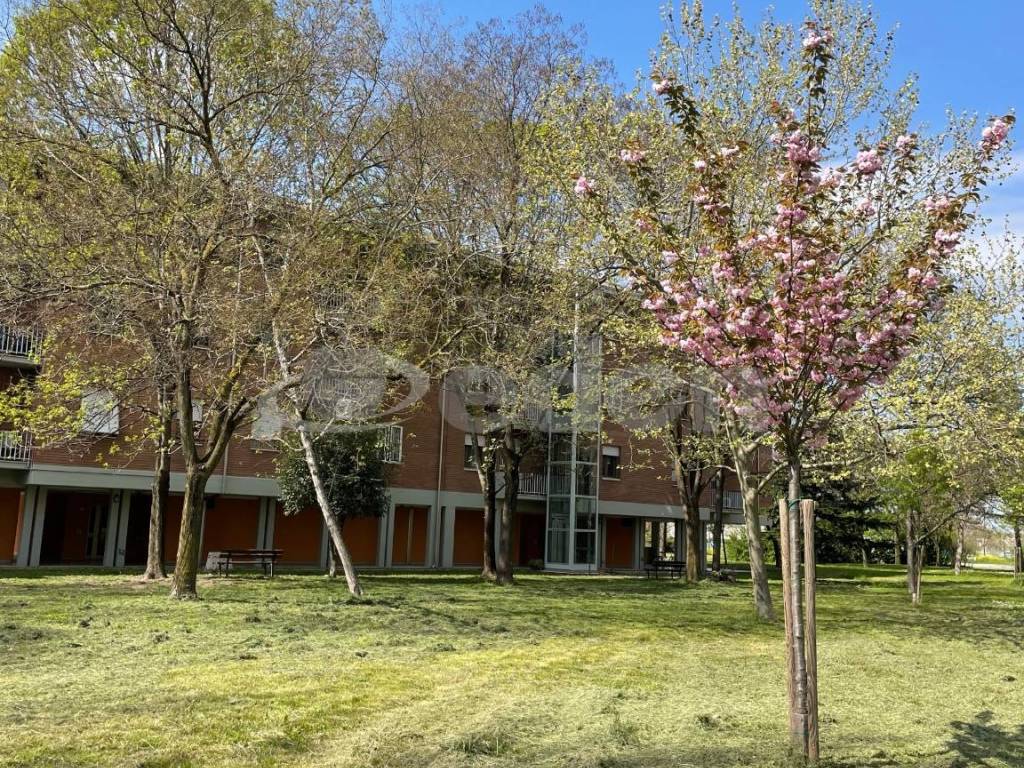 Appartamento a Modena in Via Galileo Galilei - Foto 4