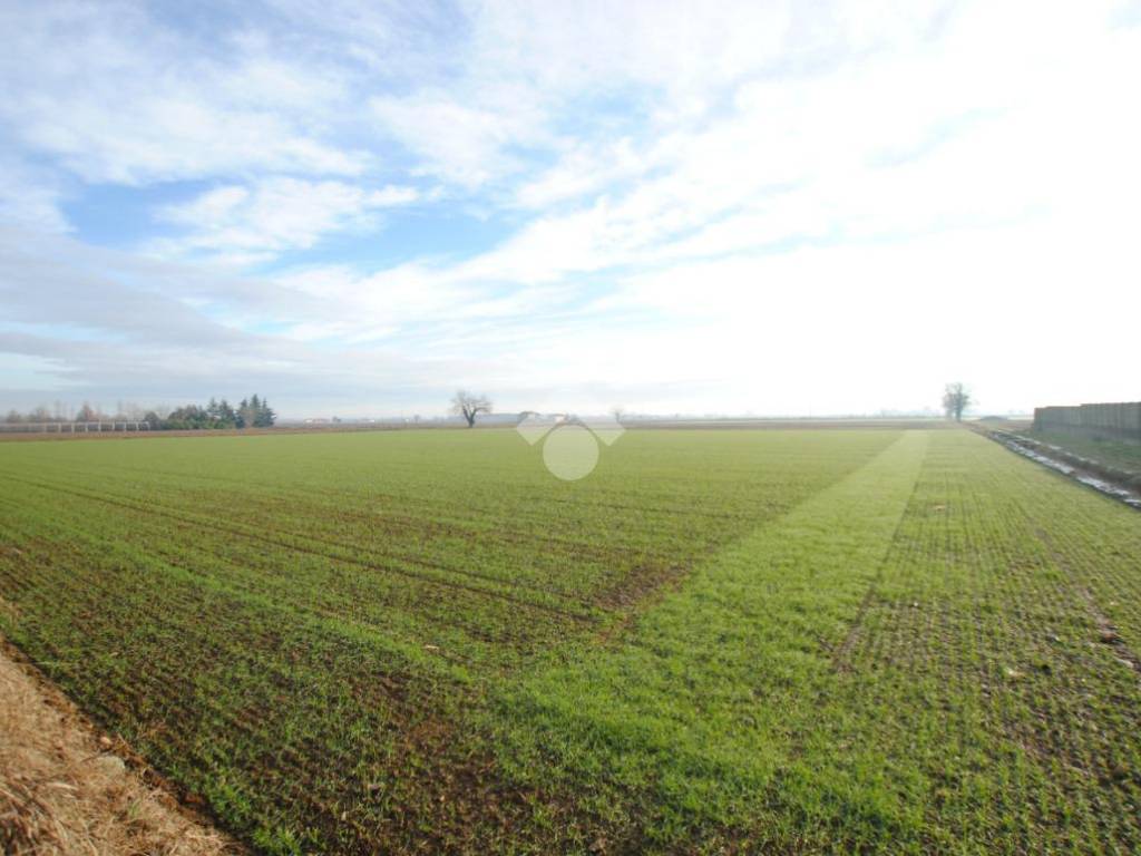 Terreno a Moncrivello in Via SP593, 1 - Foto 2