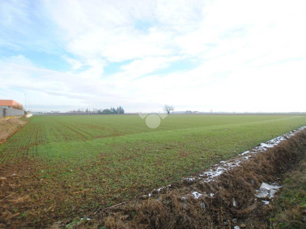 Terreno a Moncrivello in Via SP593, 1 - Foto 3