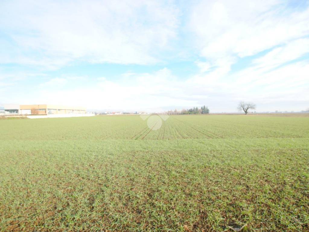 Terreno a Moncrivello in Via SP593, 1 - Foto 5