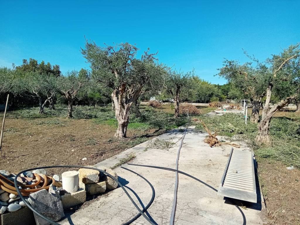 Villa a Carini in Via Provinciale - Foto 2