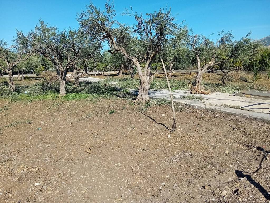 Villa a Carini in Via Provinciale - Foto 4