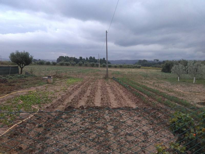 Villa a Jesi in Via Colleolivo, 9 - Foto 4