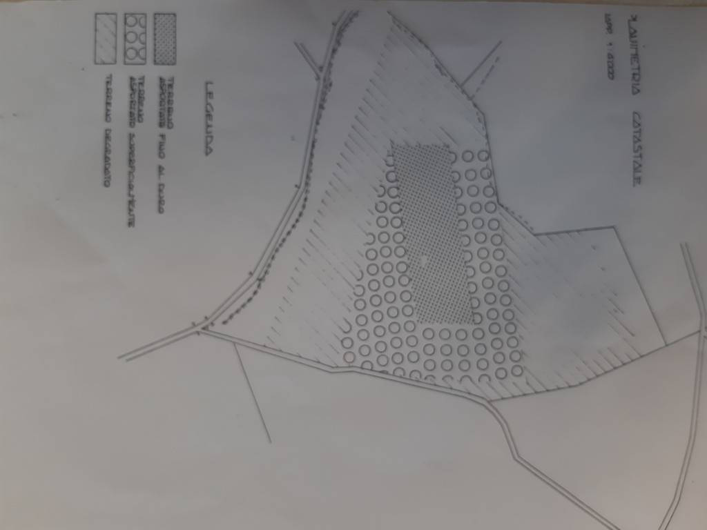 Terreno a Tarquinia in Località Farnesiana - Foto 3
