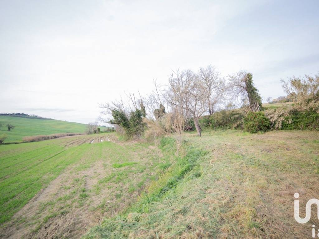 Rustico / casale a Senigallia in Strada provinciale della canella - Foto 4