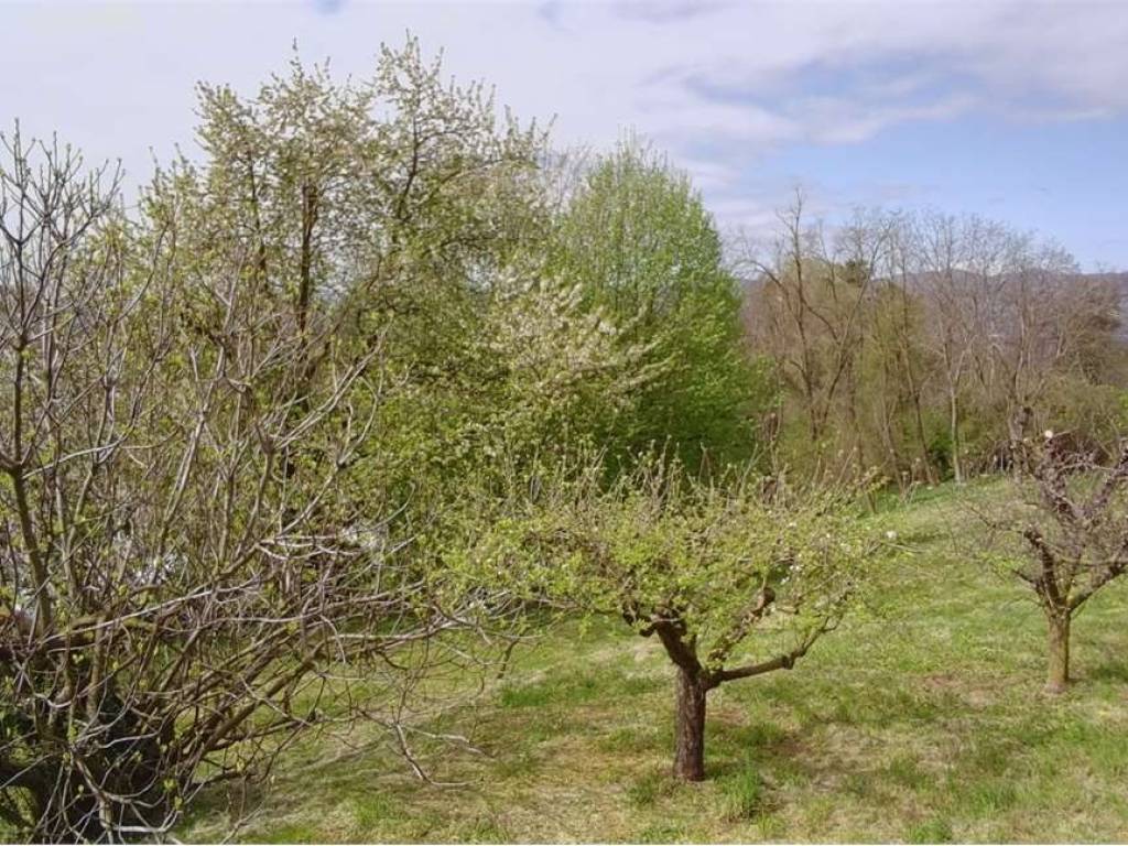 Terreno a Cadrezzate con osmate - Foto 5