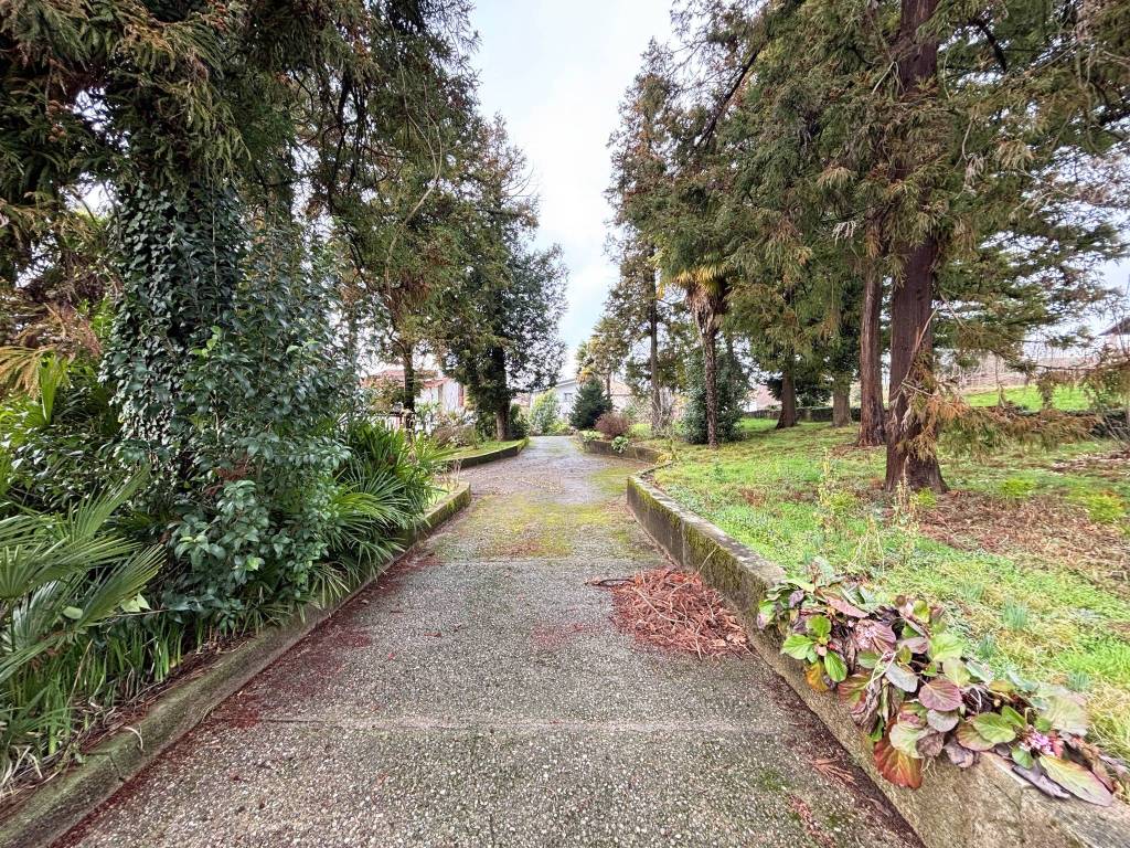 Terreno a Tradate in Via Maria Mazzini Drago, 10 - Foto 5