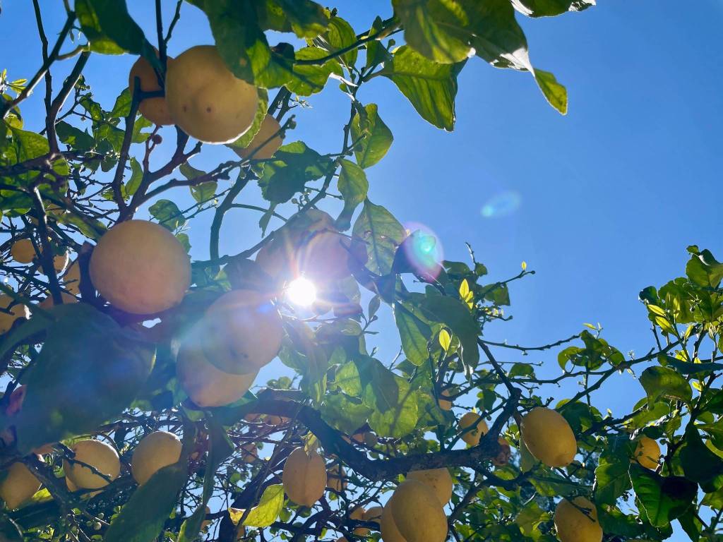 Villa a Maratea in Via Profiti - Foto 5