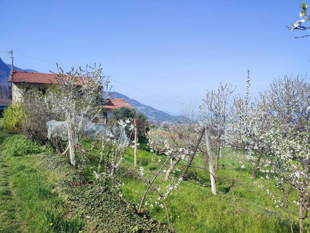 Rustico / casale a Envie in Via Sasia - Foto 3