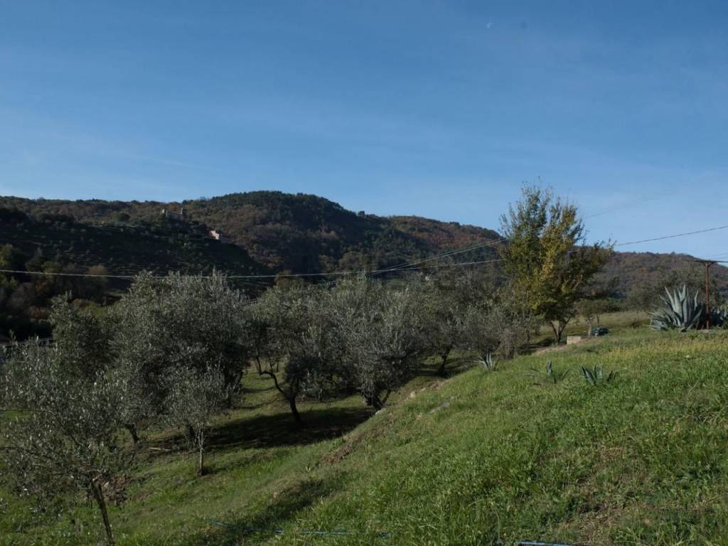 Rustico / casale a Lucca in Via Giovanni Volpi - Foto 4