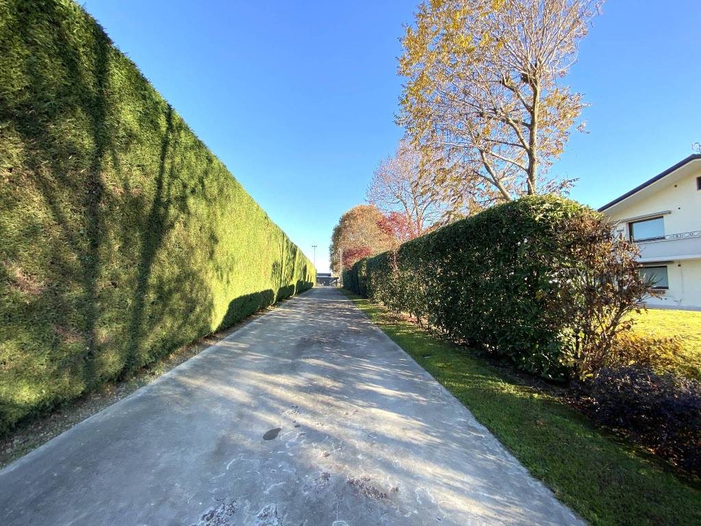 Villa a Villa del conte - Foto 5